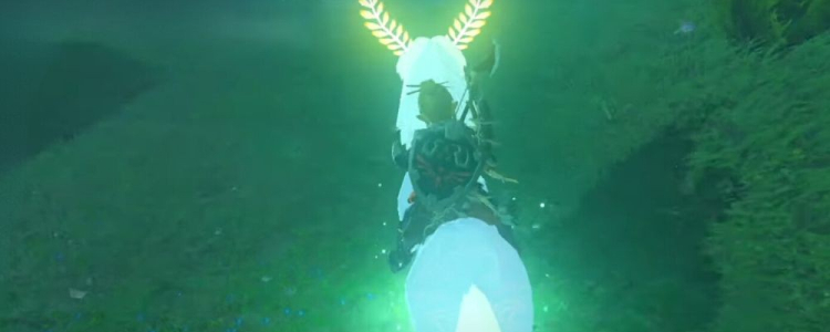 How to Get the Lord of the Mountain in The Legend of Zelda: Breath of the Wild on PlayHub Top Blog